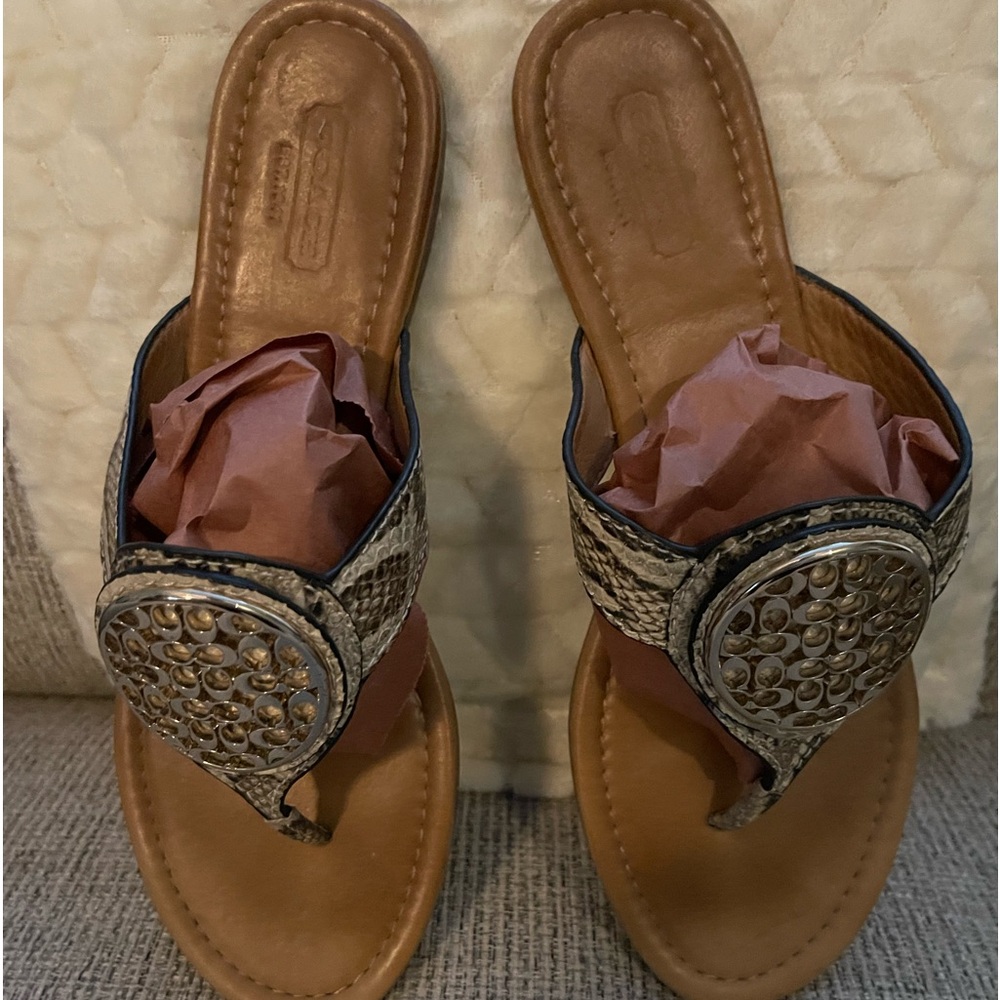 Coach Sena Snakeskin Sandals, Size 8B.